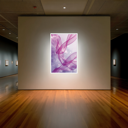 Dancing Ribbons of Serenity