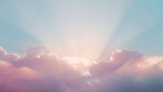 <h4><strong>Where Healing Meets Aesthetic</strong></h4>