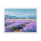 White / 18″×24″