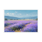 White / 24″×36″